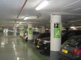 DSC00503.jpg